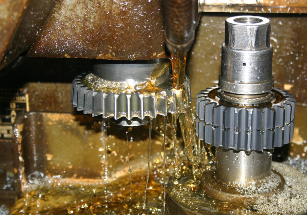 Spur Gear